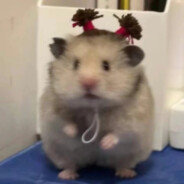 桃子就是我的爱