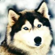 15978142003