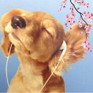 𝔪𝔞𝔰𝔥𝔬𝔫𝔨𝔞