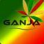 ganja