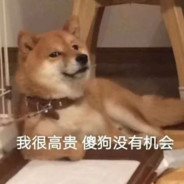 资深舔🐕