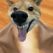 玉面手雷王中王