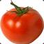 A simple tomato