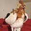 Subservient Chicken