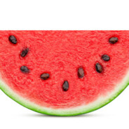 A simple watermelon