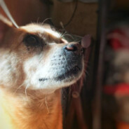 塵癫癫癫癫癫癫