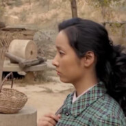 石圪节公社胡德禄