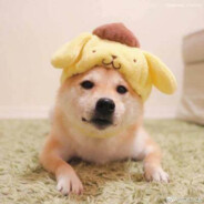 AAA专业通下水管道