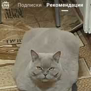 в роте бал