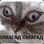 Pusichka228