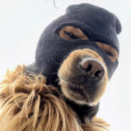 读我呼吸变手动