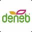 deneb