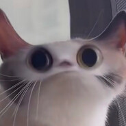 Nezuru