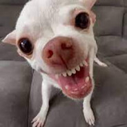 b)