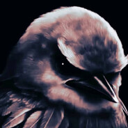 m0000000n - steam id 76561199483567754