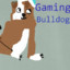 GamingBulldog