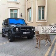 呼风唤雨的狠角色