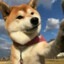 清恋Seirenい
