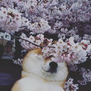 автослесарь