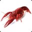 Lord Crayfish