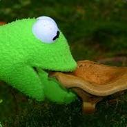 Kermit the Mushroom Eater