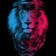 lion_190