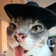 KittyMeowMeow