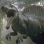 Cretaceous Theropod