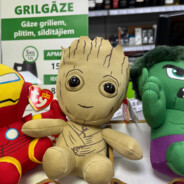 вика гвоздь