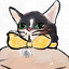 mr.cat