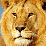 бытие в достатке