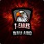 [T-Eagles] Walli Abid