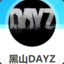 黑山DAYZ