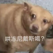 洪冻尼戴斯噶？