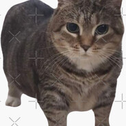 uiaa  uiaa  uiaa  uiaa cat