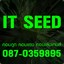 ITSeed