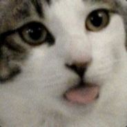 Pussy Destroyer / Czeremis