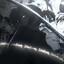 砂糖橘