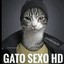 Gato Sexo