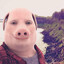 John Pork