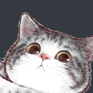 nap.io