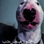 XxX_ObamaSlayer_XxX