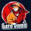 Gato Viudo