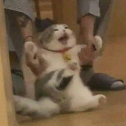 全球精英 avatar