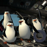 penguin airlines