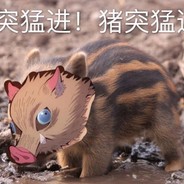 潴突猛进丶白给