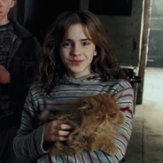 技不如人 甘拜下风