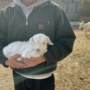 难道你就没一点错吗