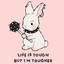 A Very Small Bunny