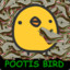 _Pootis_bird_( ͡° ᴥ͡° )